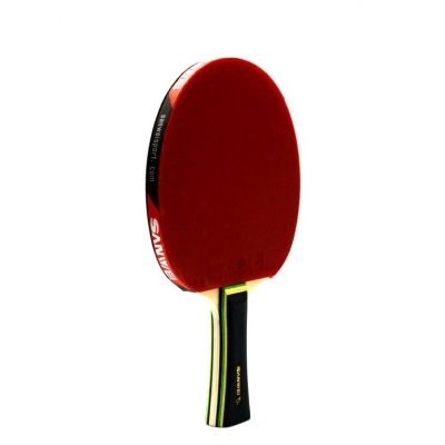 Topspin At Home Table Tennis Set Fun Pro
