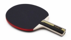 WCPP OFFICIAL PING PONG BAT